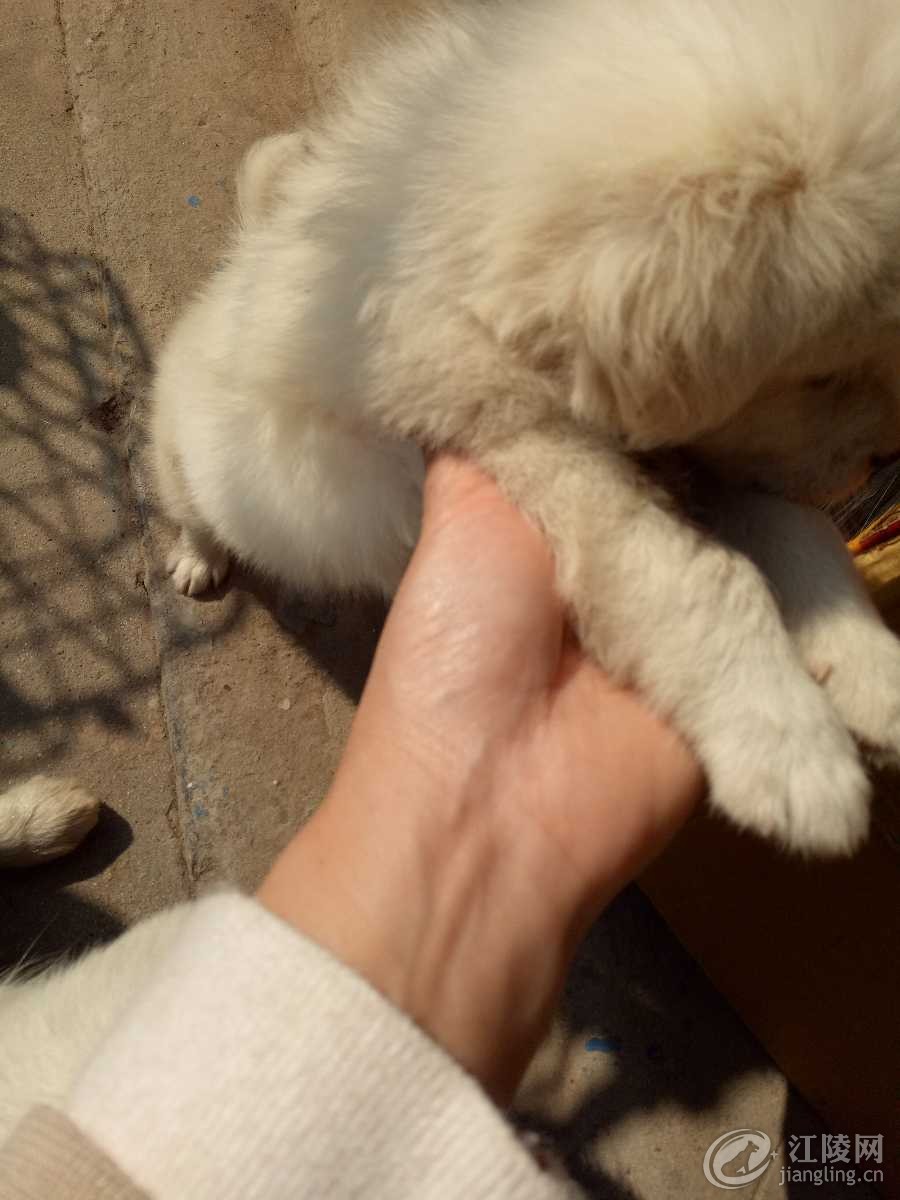 IMG20180312101544.jpg