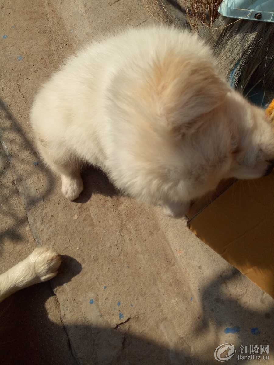 IMG20180312101534.jpg