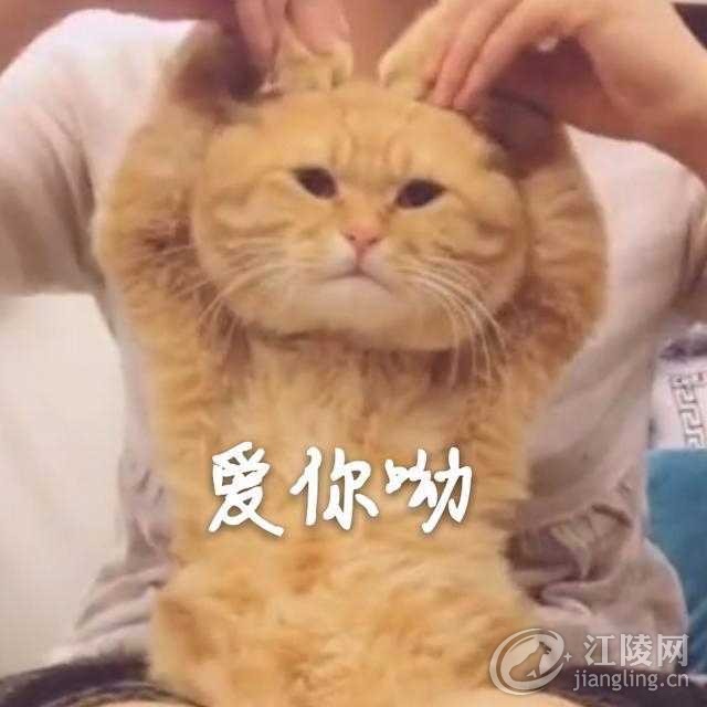 1520876966119.jpg