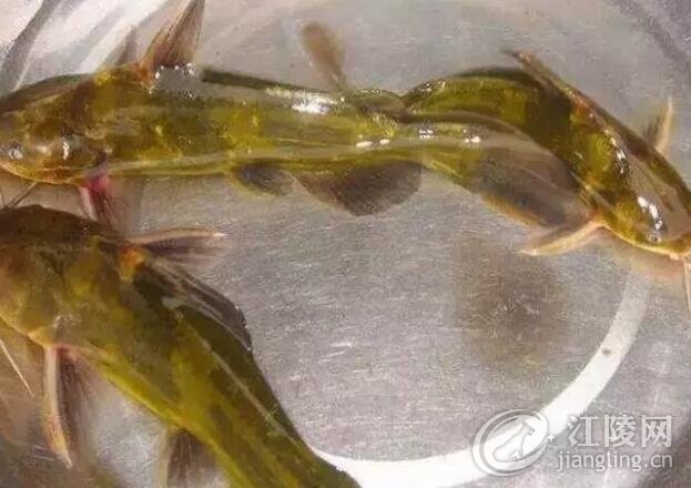 QQ��ͼ20180316094840.jpg