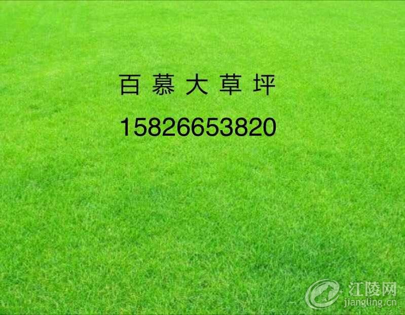 448BEF67-A615-4740-A384-C9752C8D41B1.jpeg