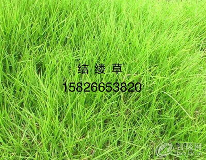 C731FB61-780F-4FBE-B1B6-E70A9AC76E7D.jpeg