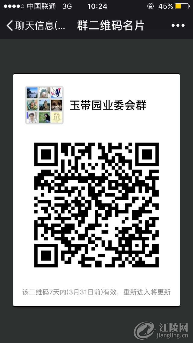 IMG_3723.PNG