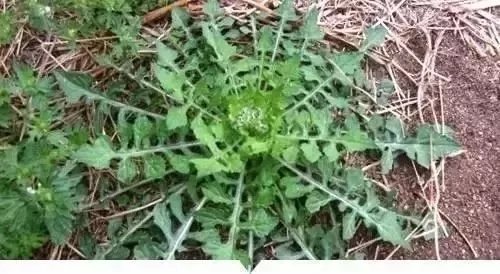 640.webp (17).jpg