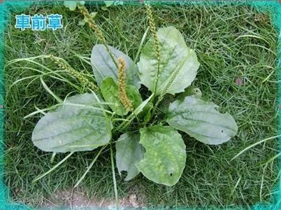 640.webp (29).jpg