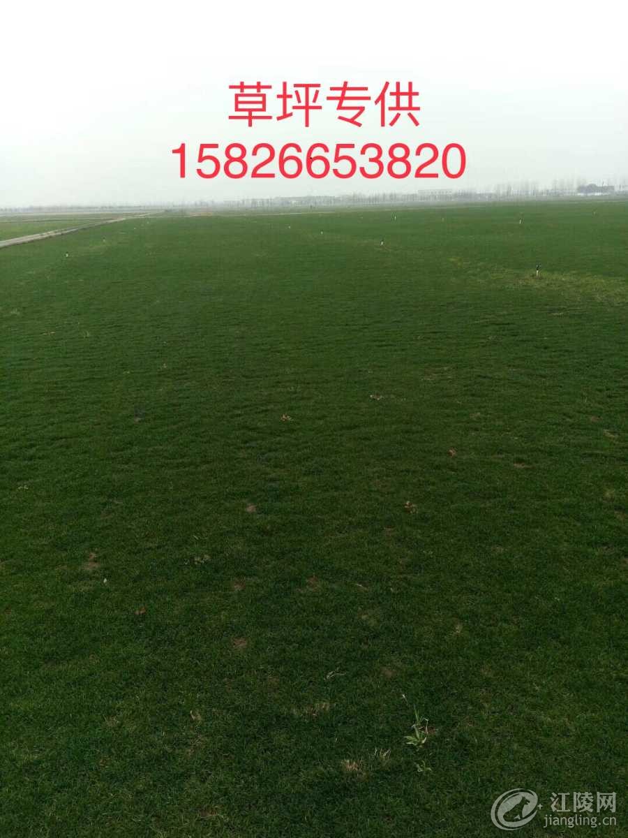 9DB6674C-D74D-4DA4-8945-2AA3011F4DEE.jpeg