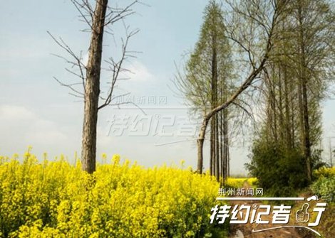 12898354_290129.jpg