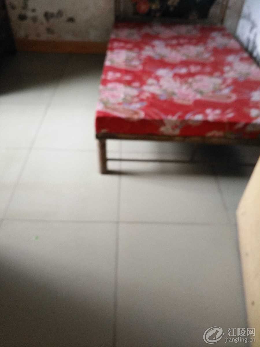 IMG_20180404_125937.jpg