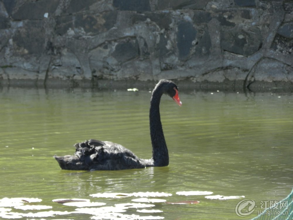 DSCN3722.JPG