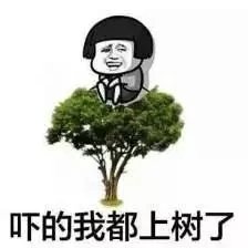640.webp (10).jpg
