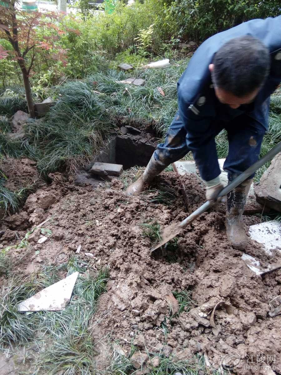 IMG_20180415_150753.jpg