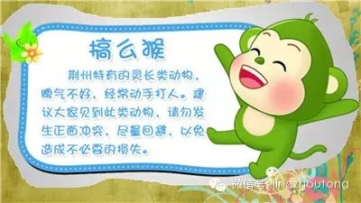 640.webp (27).jpg