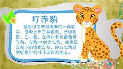 640.webp (28).jpg