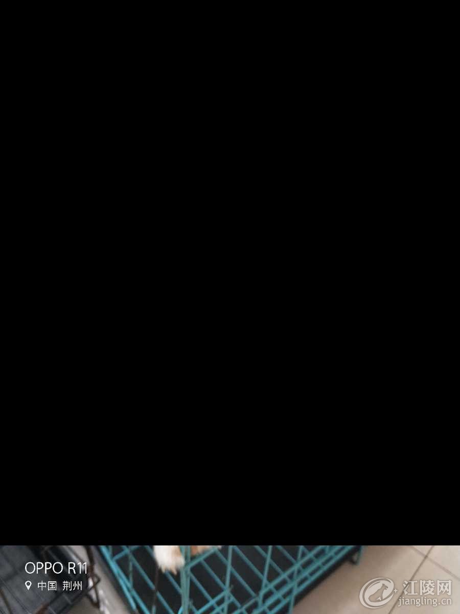 IMG20180425134717.jpg
