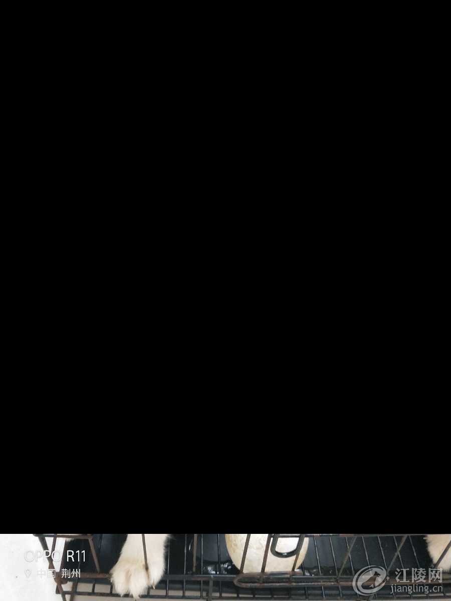 IMG20180425134806.jpg