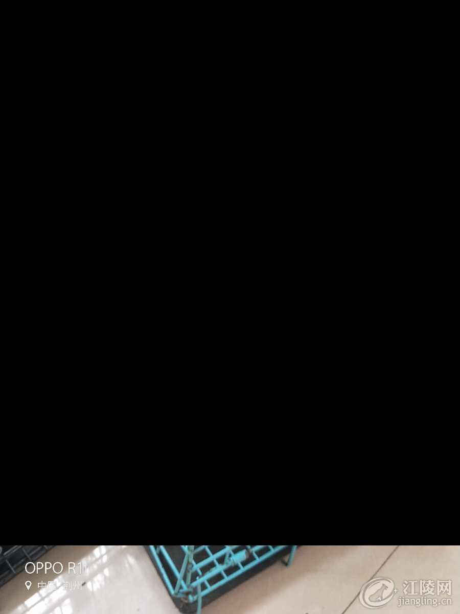 IMG20180425134803.jpg