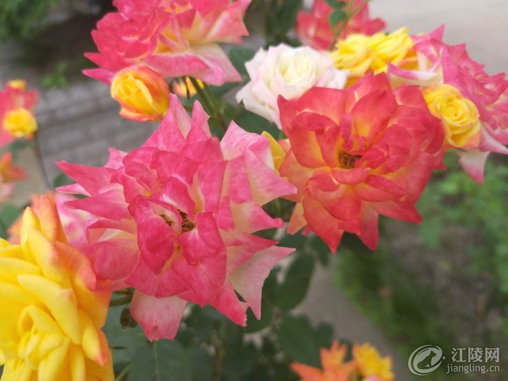 ΢��ͼƬ_20180429120546.jpg