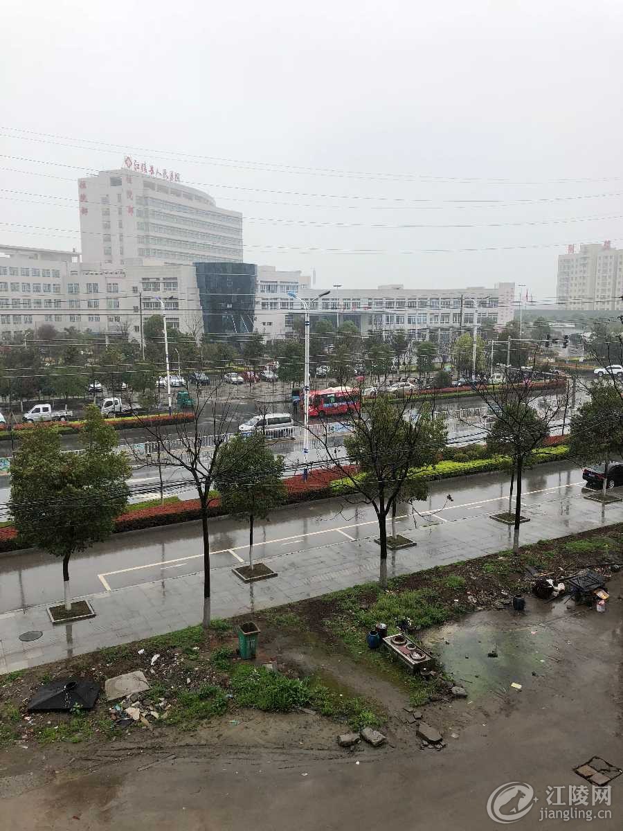 744ED0C8-B56B-42A5-AD89-74D945524626.jpeg