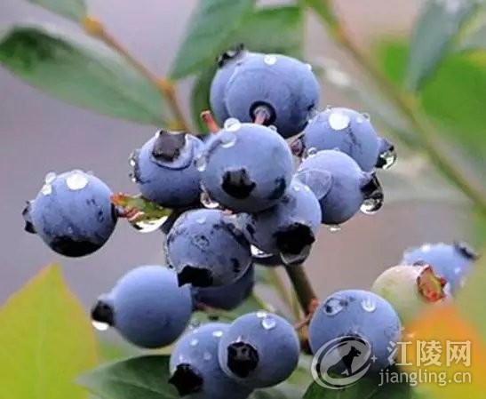 640.webp (33).jpg