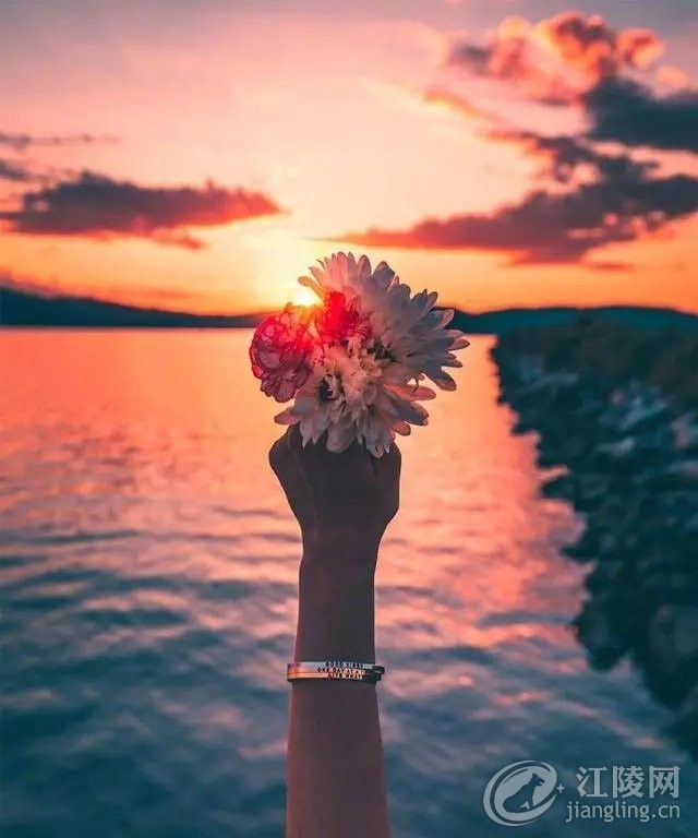 640.webp (38).jpg