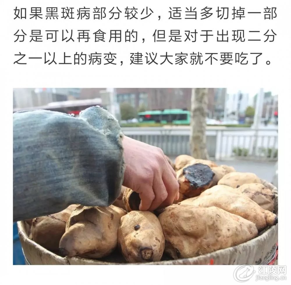 640.webp (16).jpg
