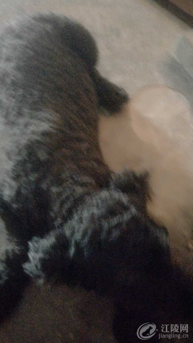 IMG20180608133450.jpg