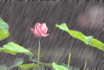 640.gif