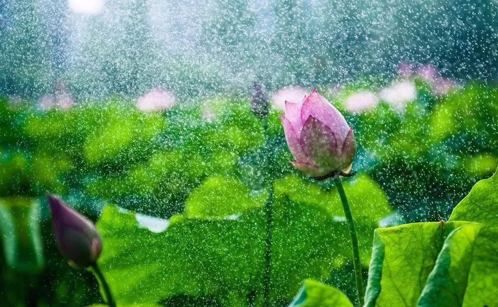 640.webp (15).jpg