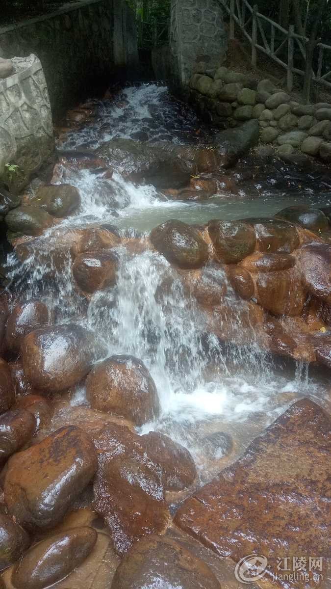 IMG20180619104722.jpg