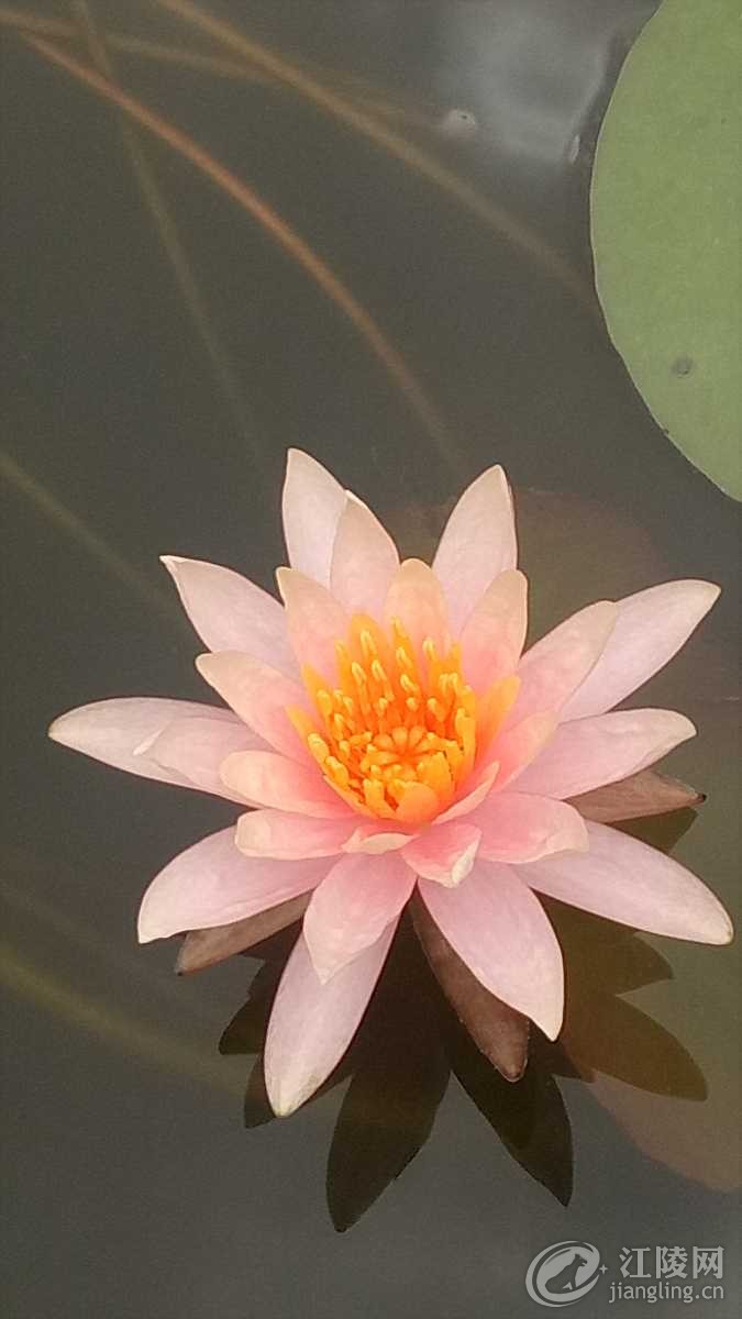 IMG20180618104431.jpg