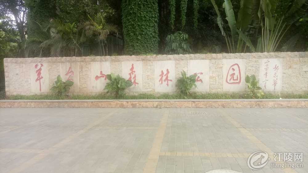 IMG20180619113314.jpg