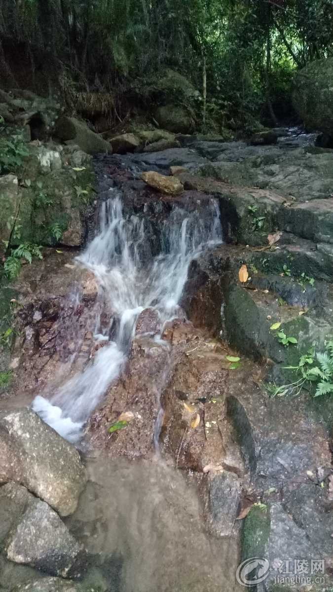 IMG20180618190039.jpg