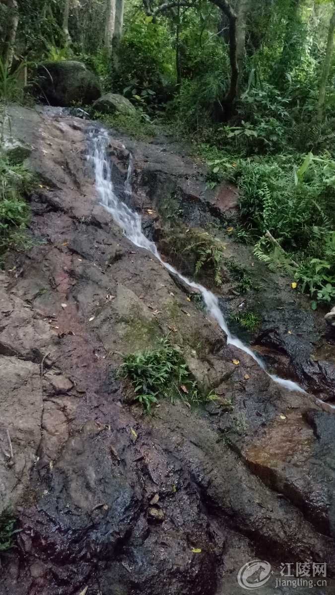 IMG20180618190738.jpg