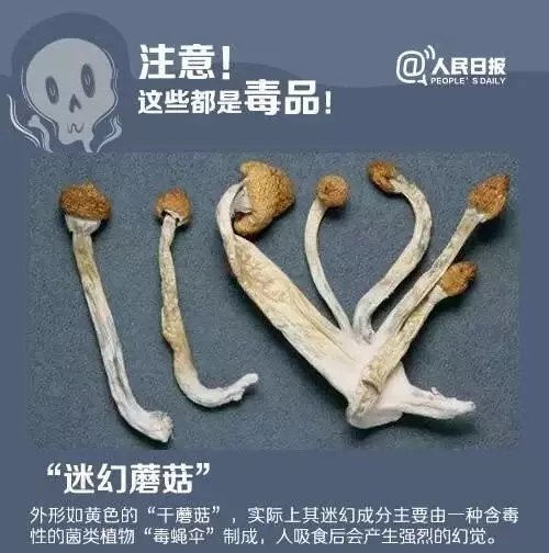 640.webp (20).jpg