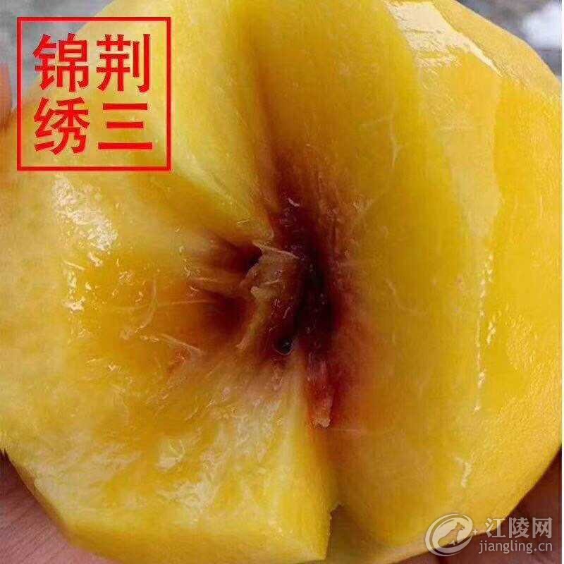 0811C1FF-BD6D-435C-92A8-D8F5EA7CAFDC.jpeg