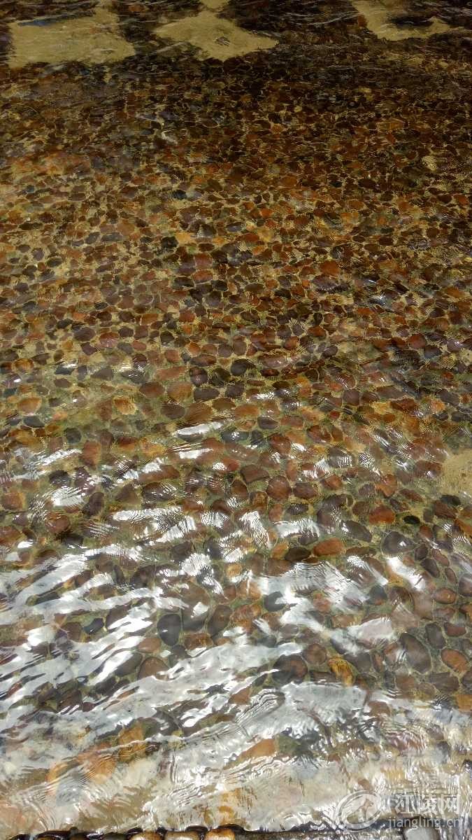 IMG20180705112309.jpg