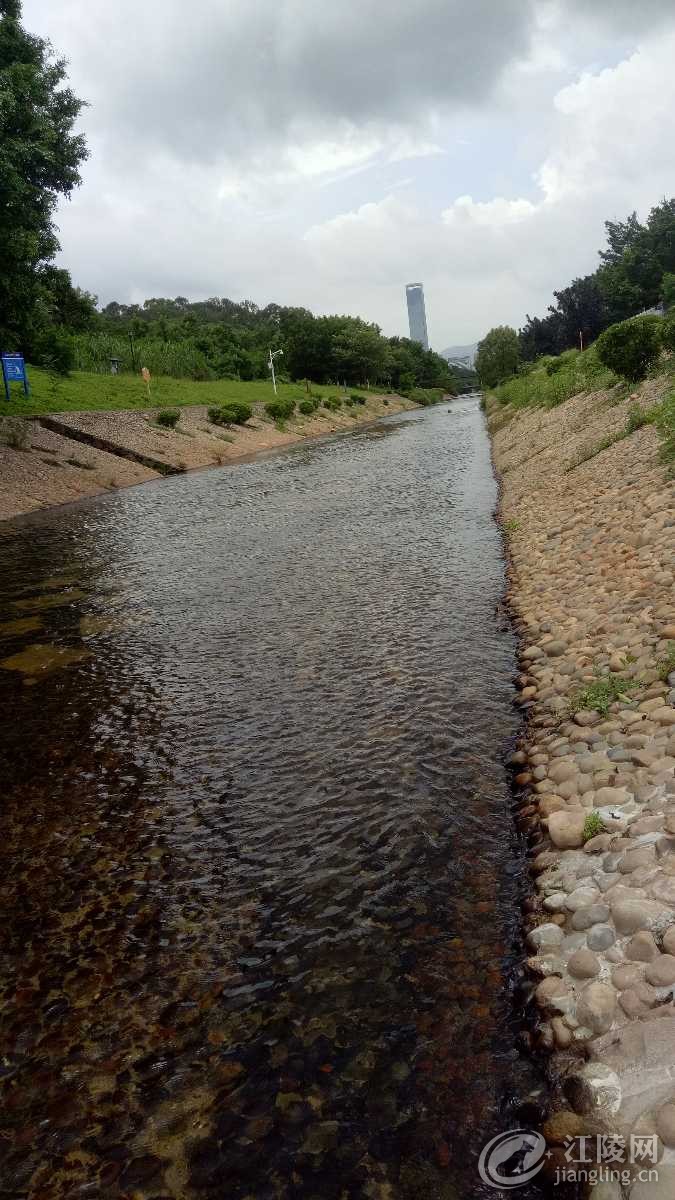 IMG20180705112244.jpg