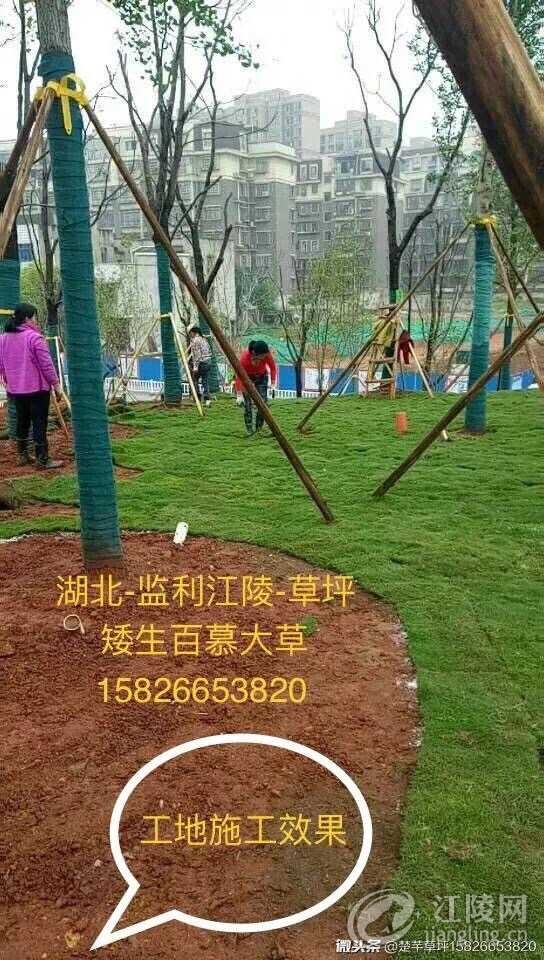 8684DE36-260A-42F1-A7B8-440BBEF6D134.jpeg