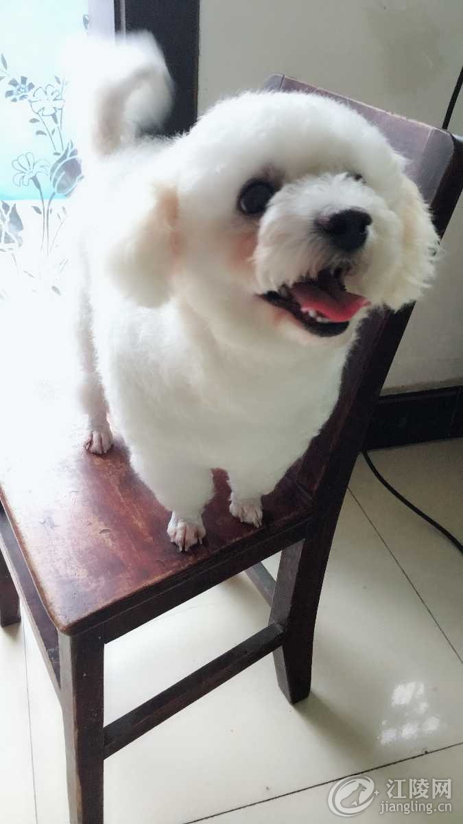 image.jpeg
