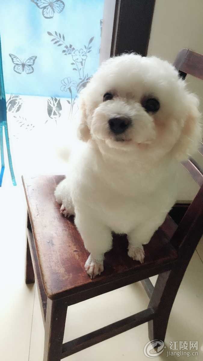 image.jpeg