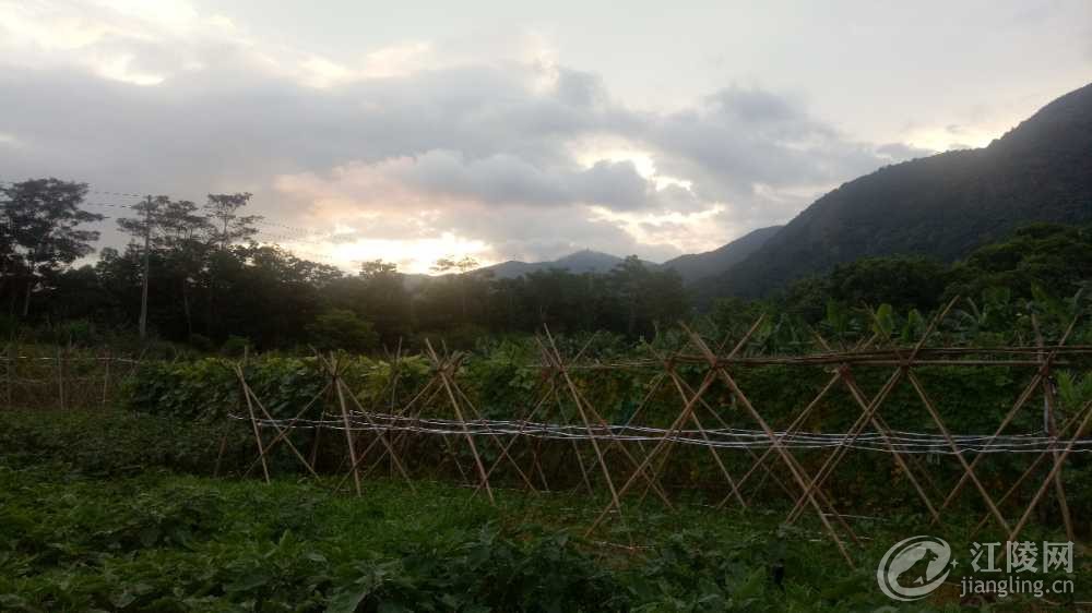 IMG20180712185538.jpg