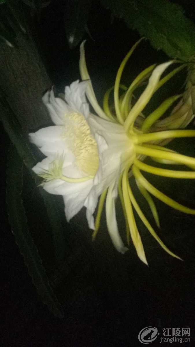 IMG20180712233753.jpg