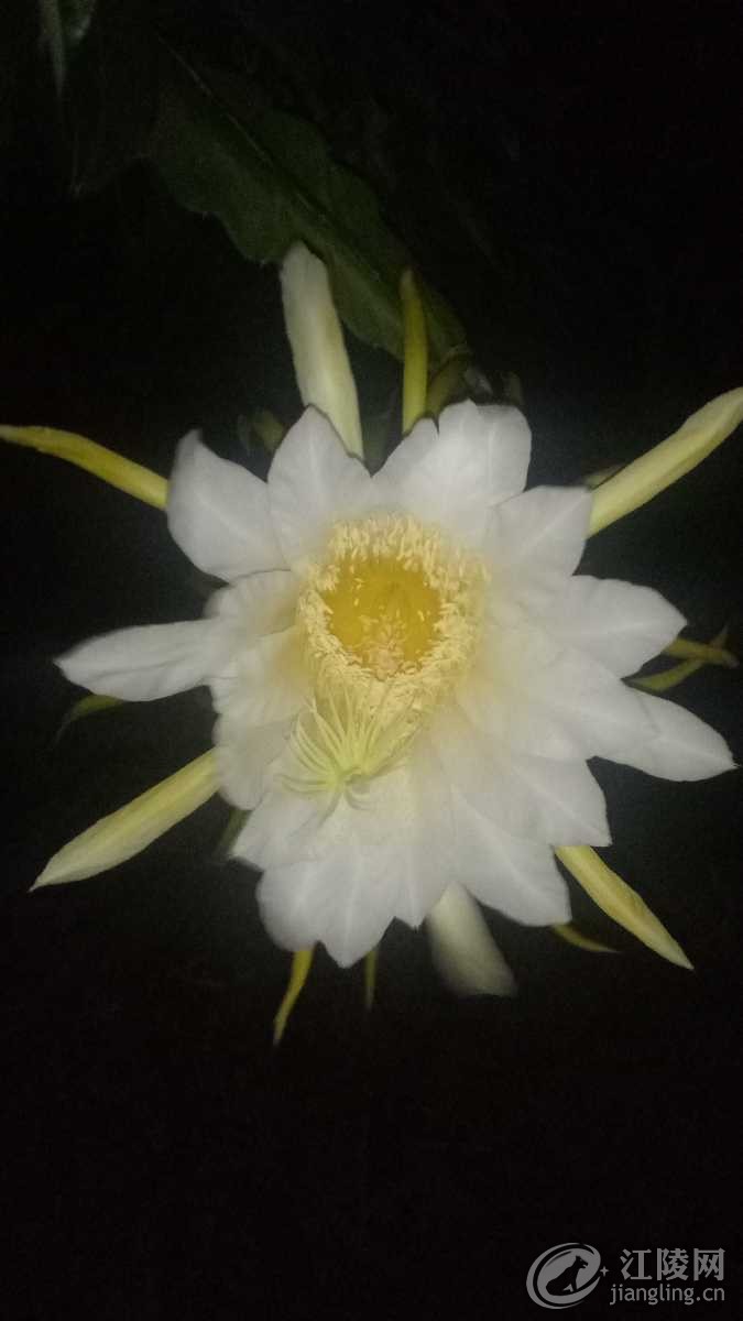 IMG20180712233728.jpg