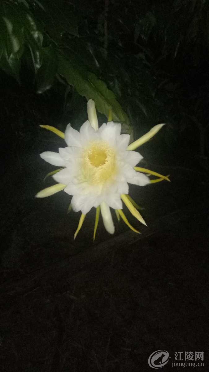 IMG20180712233739.jpg