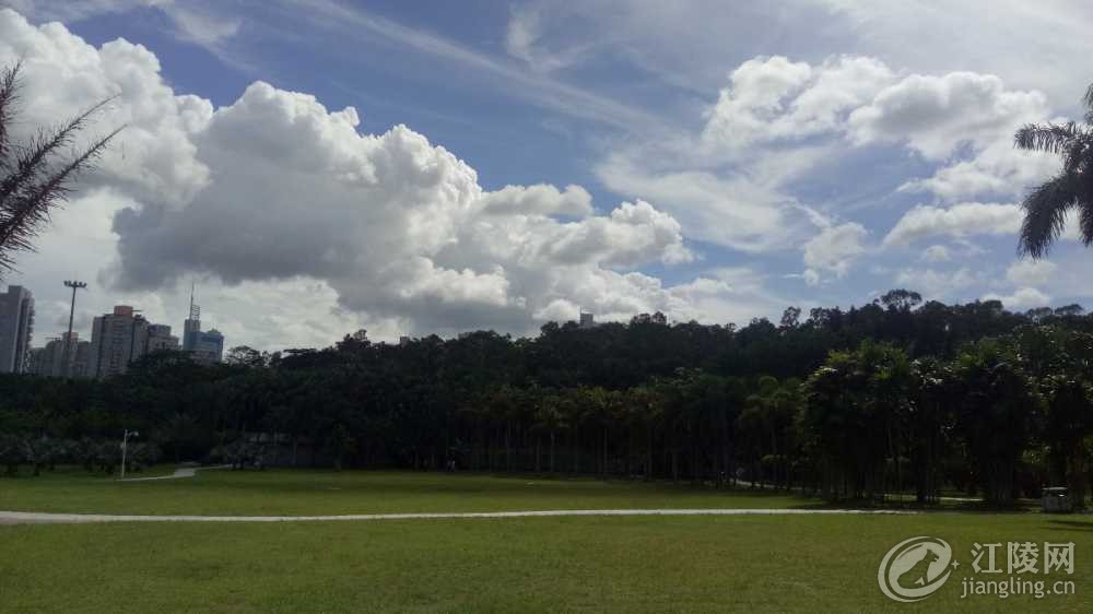IMG20180719150820.jpg