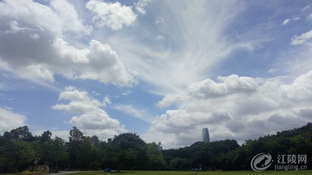 IMG20180719134702.jpg