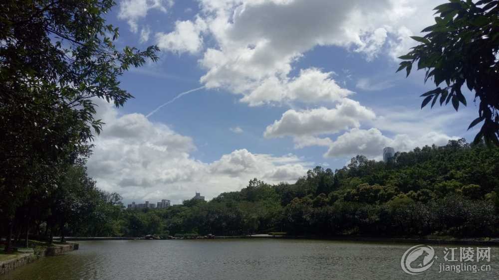 IMG20180719144727.jpg