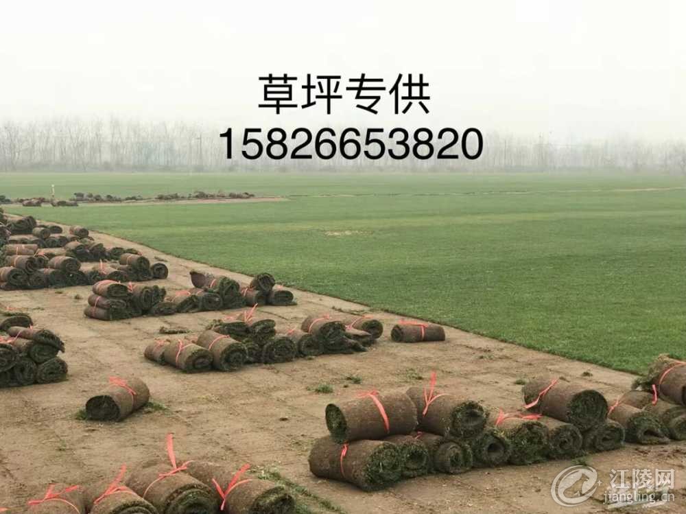 EAB1B38E-F888-4D8E-A82B-945BF2EFFD28.jpeg