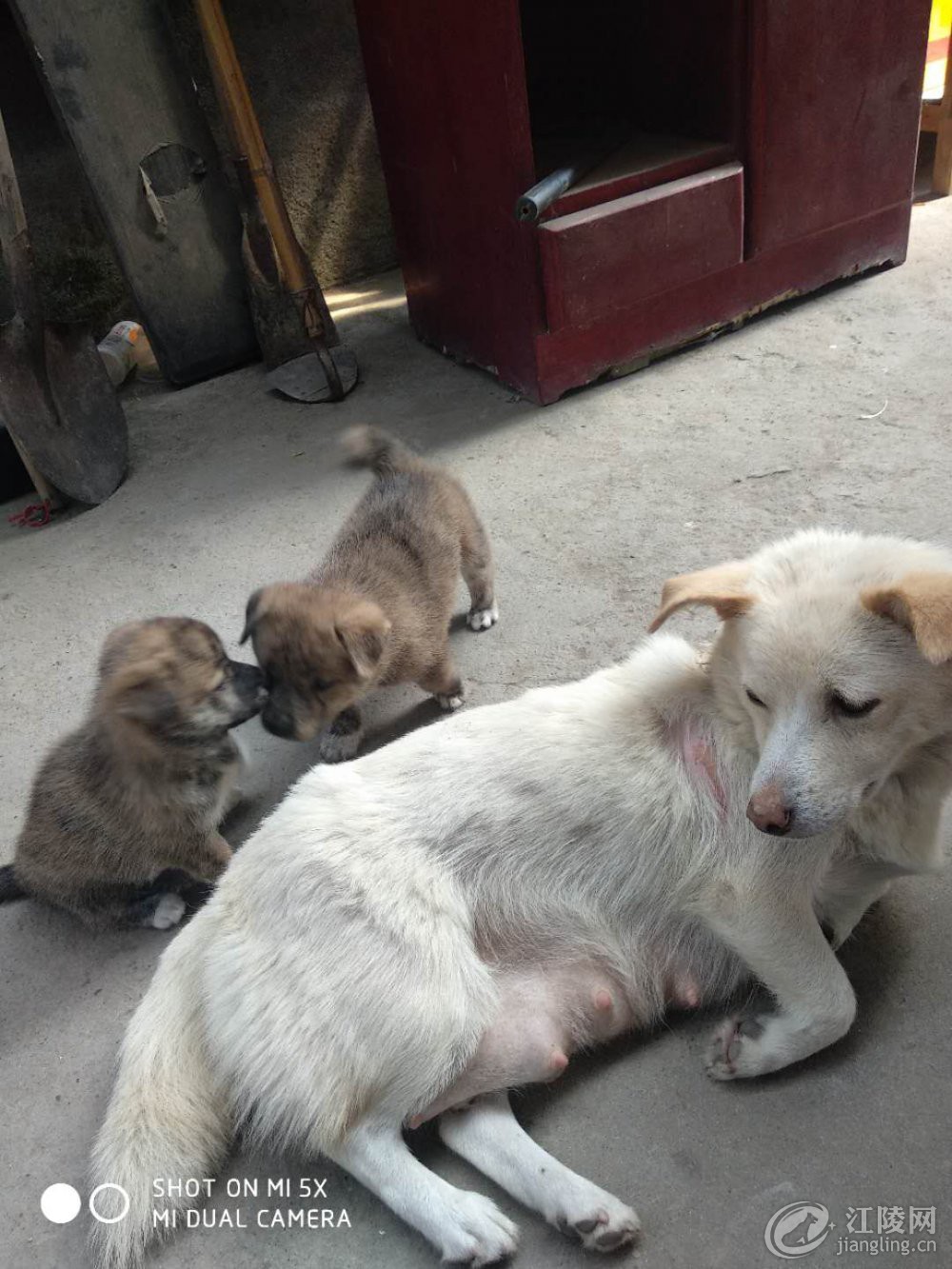 ������_20180813_102353.jpg