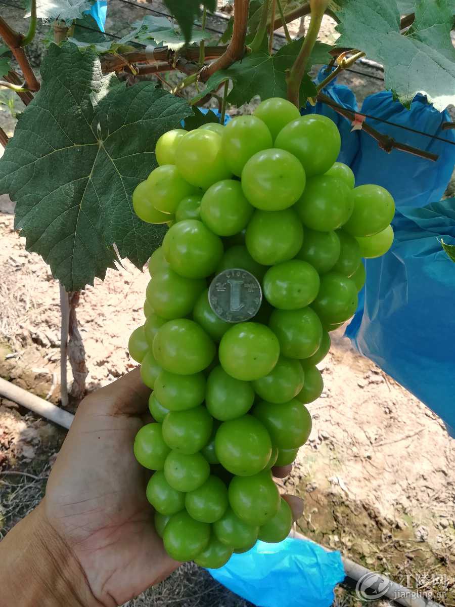IMG_20180720_100337.jpg